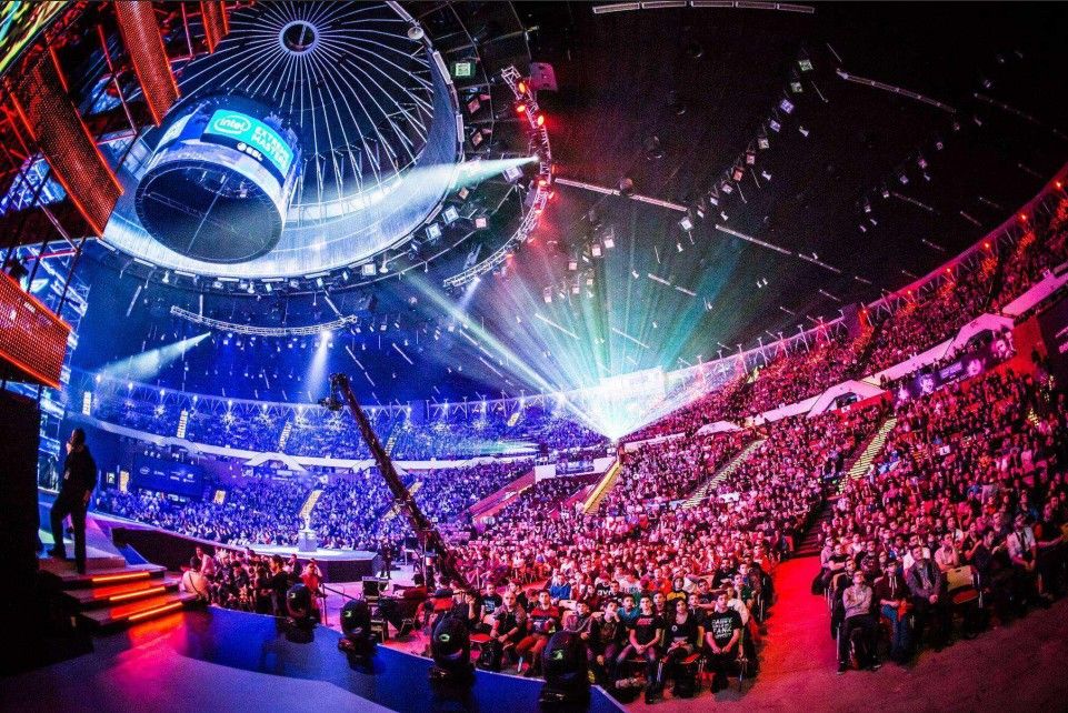 仅揭示了俱 仅揭示了俱