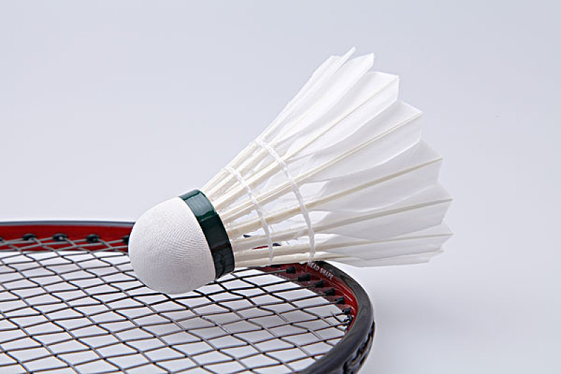 家长团队为 家长团队为